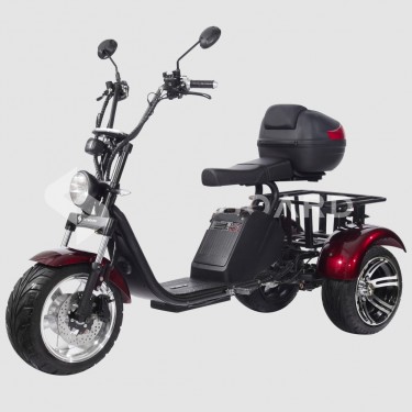 Электробайк CityCoco Skyboard Trike BR80 фото