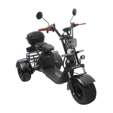 Электробайк Skyboard Trike BR40-3000 PRO