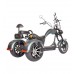 Электробайк Skyboard Trike Chopper-2000 фото 1