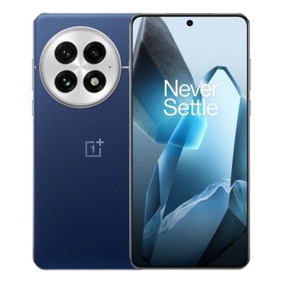 OnePlus 13 (2024) 24/1Tb Blue, синий