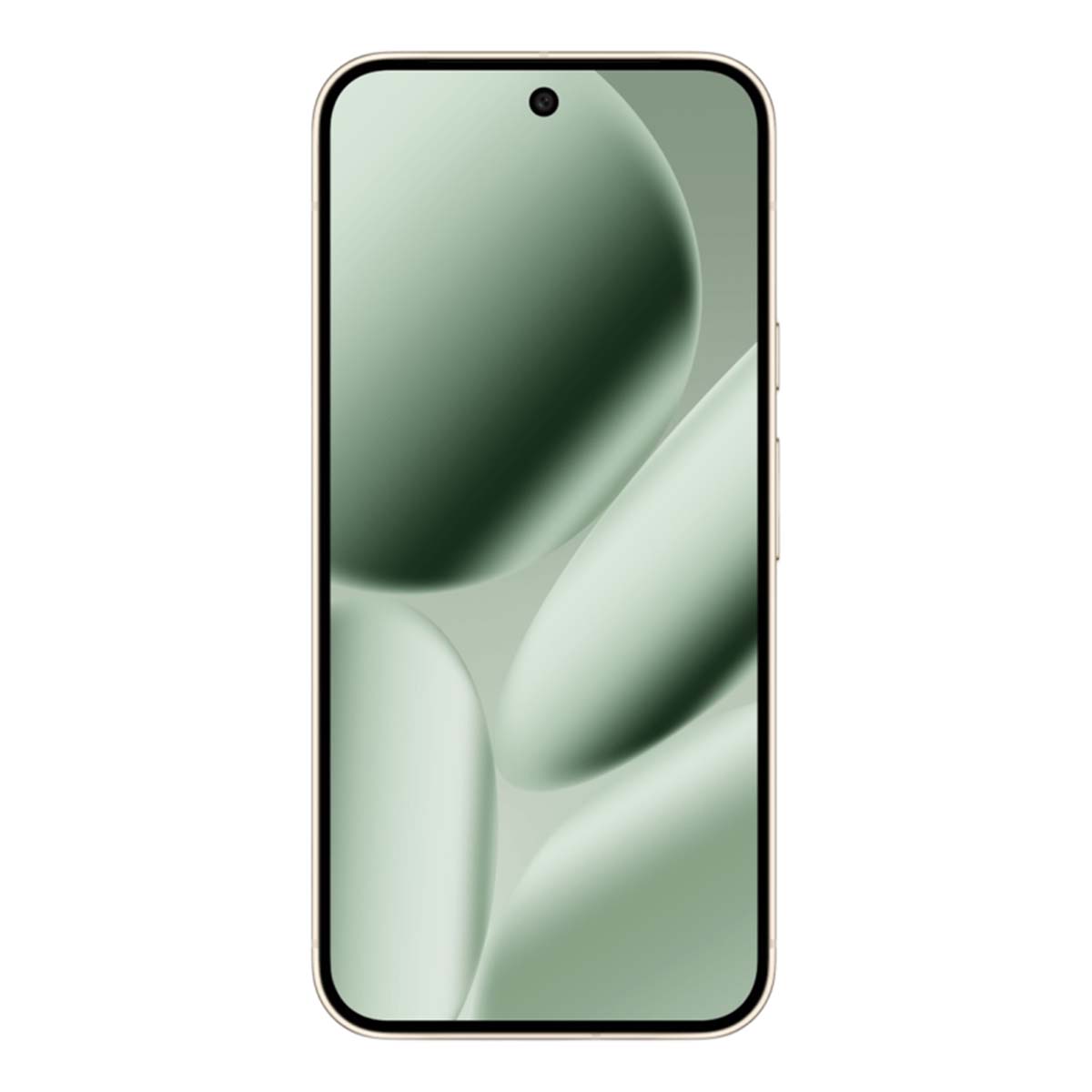 Google Pixel 10 Pro XL 256Gb Jade, зелёный