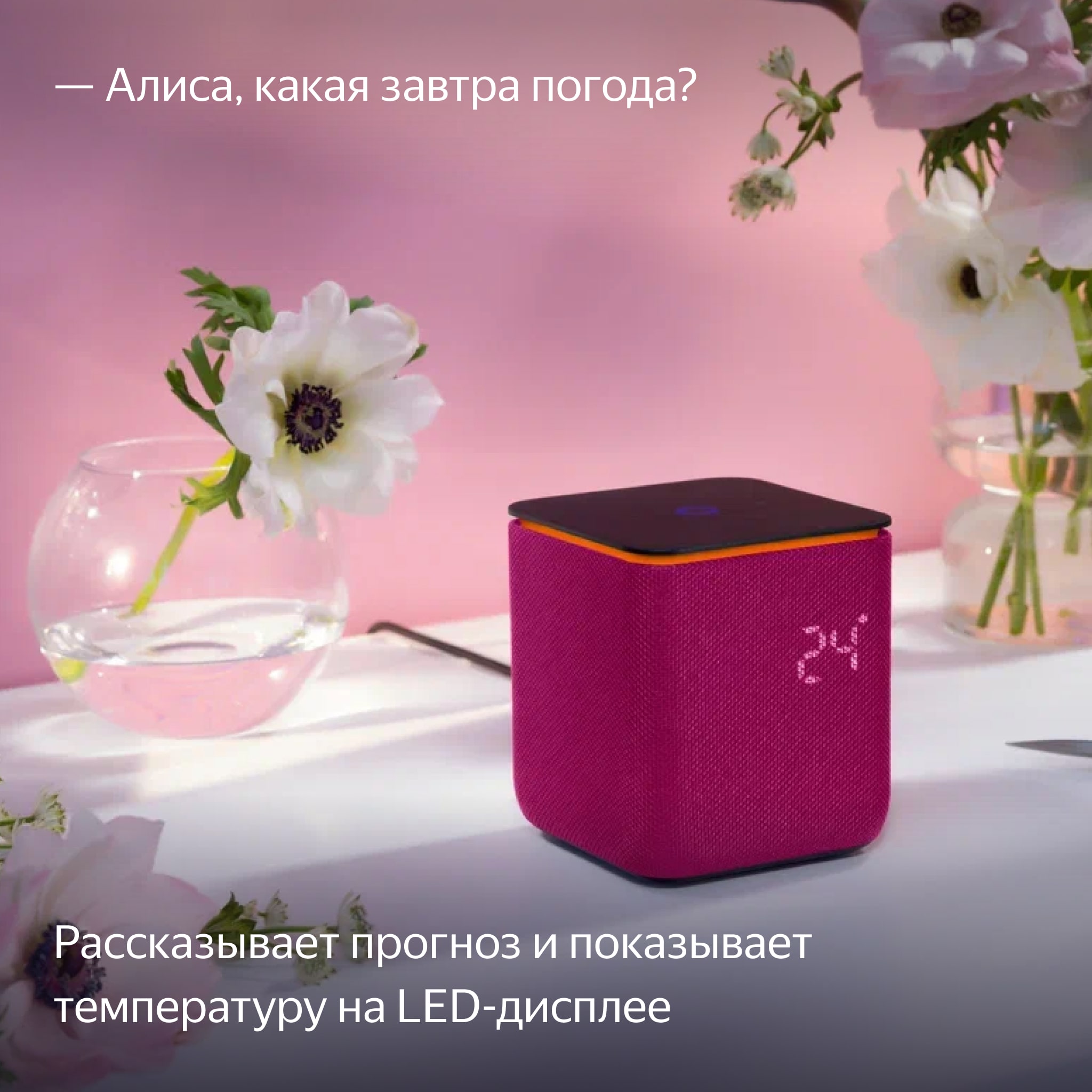 Умная колонка Яндекс Станция Миди с Алисой на YaGPT, с Zigbee™, Малиновая